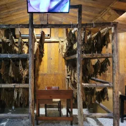 Amber Museum (Museo del Ámbar) - Puerto Plata