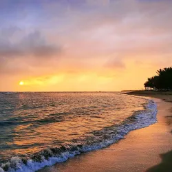 Playa Dorada - Puerto Plata