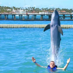 Dolphin Explorer - Punta Cana
