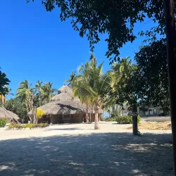 Dolphin Explorer - Punta Cana