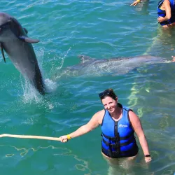 Dolphin Explorer - Punta Cana