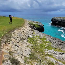 Golf Courses of Punta Cana - Punta Cana