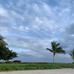 Golf Courses of Punta Cana - Punta Cana