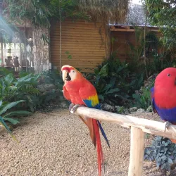Hoyo Azul - Punta Cana