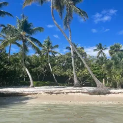 Indigenous Eyes Ecological Park and Reserve - Punta Cana