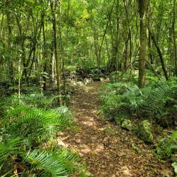 Indigenous Eyes Ecological Park and Reserve - Punta Cana