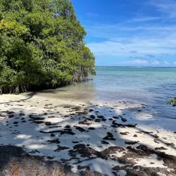 Indigenous Eyes Ecological Park and Reserve - Punta Cana