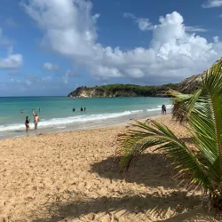 Macao Beach - Punta Cana