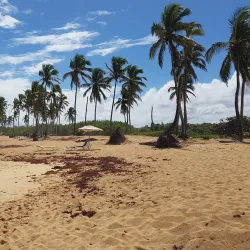 Macao Beach - Punta Cana