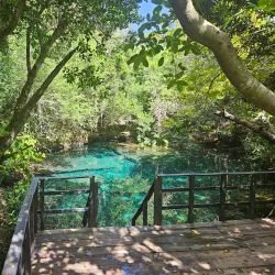 Punta Cana Ecological Foundation - Punta Cana