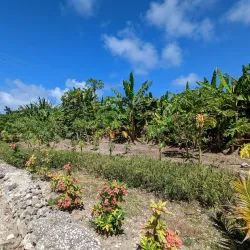 Punta Cana Ecological Foundation - Punta Cana