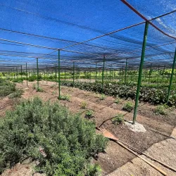 Punta Cana Ecological Foundation - Punta Cana