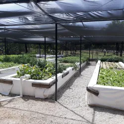 Punta Cana Ecological Foundation - Punta Cana