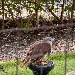 Punta Cana Ecological Foundation - Punta Cana