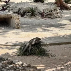 Punta Cana Ecological Foundation - Punta Cana