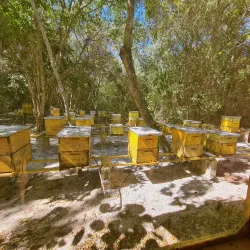 Punta Cana Ecological Foundation - Punta Cana