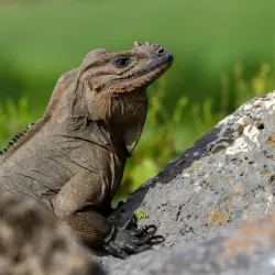 Scape Park at Cap Cana - Punta Cana