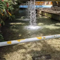Balneario La Toma - San Cristobal