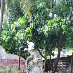 Casa de la Cultura - San Cristobal