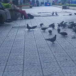 Parque Central de San Cristobal - San Cristobal