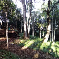 Parque de la Familia - San Cristobal