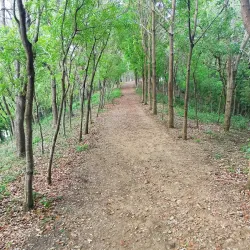 Parque de la Familia - San Cristobal