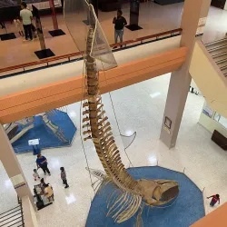 Plaza de la Cultura - San Cristobal