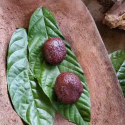Cacao Plantations Surrounding San Francisco de Macorís - San Francisco de Macoris