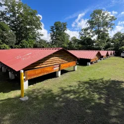 Cacao Plantations Surrounding San Francisco de Macorís - San Francisco de Macoris