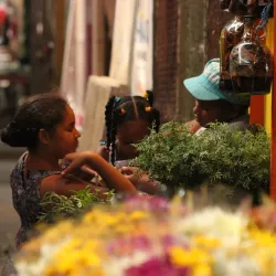 Mercado Municipal de San Francisco de Macorís - San Francisco de Macoris