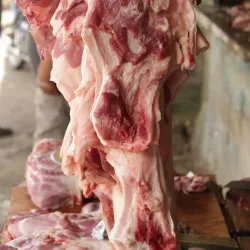 Mercado Municipal de San Francisco de Macorís - San Francisco de Macoris