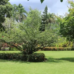 Museo Regional Hermanas Mirabal - San Francisco de Macoris