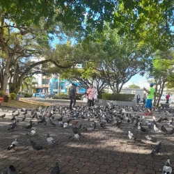 Parque Duarte - San Francisco de Macoris
