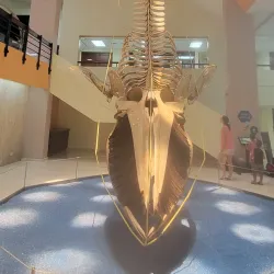 Plaza de la Cultura - San Francisco de Macoris