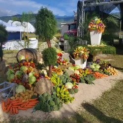 Festival de la Cosecha - San Jose de Ocoa
