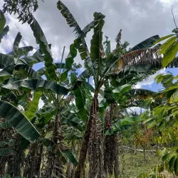 Hato Mayor Natural Reserve - Santa Cruz del Seibo