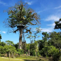 Hato Mayor Natural Reserve - Santa Cruz del Seibo