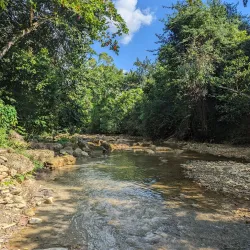 Hato Mayor Natural Reserve - Santa Cruz del Seibo
