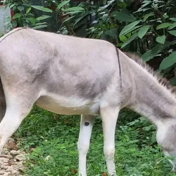 Hato Mayor Natural Reserve - Santa Cruz del Seibo