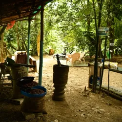 Hato Mayor Natural Reserve - Santa Cruz del Seibo