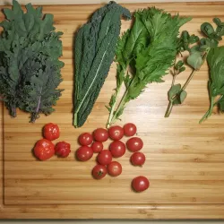 Rancho Baiguate - Santa Cruz del Seibo