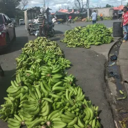Mercado Municipal de Santo Domingo Este - Santo Domingo Este