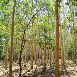 Parque Central de San Luis - Santo Domingo Este