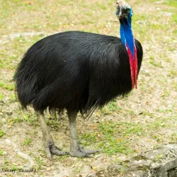 Parque Zoológico Nacional - Santo Domingo Este