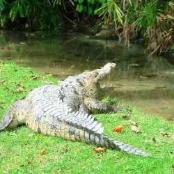 Parque Zoológico Nacional - Santo Domingo Este