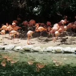 Parque Zoológico Nacional - Santo Domingo Este