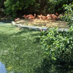 Parque Zoológico Nacional - Santo Domingo Este