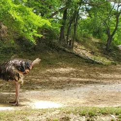 Parque Zoológico Nacional - Santo Domingo Este