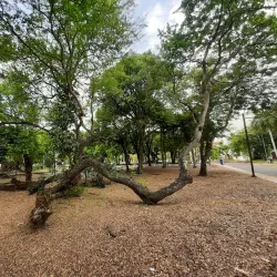 Plaza de la Cultura Santo Domingo Este - Santo Domingo Este