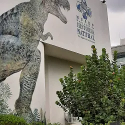 Plaza de la Cultura Santo Domingo Este - Santo Domingo Este